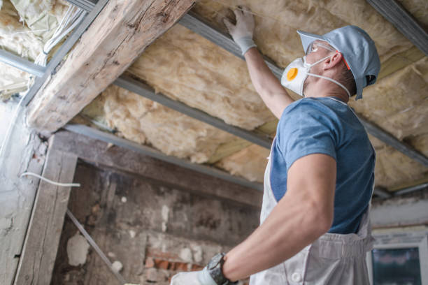 Professional Insulation Contractor in MD