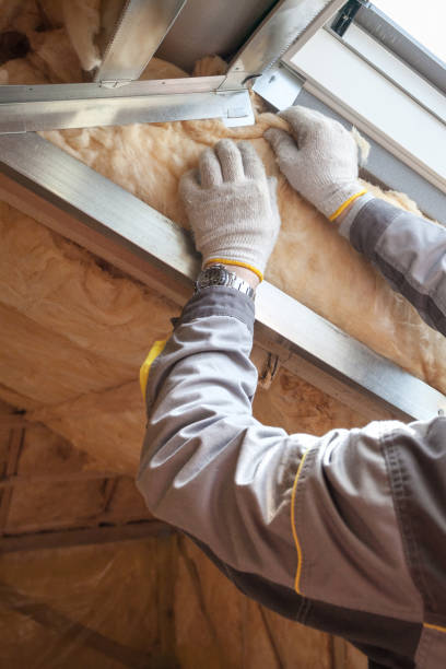 Best Insulation Maintenance and Repair in Cheverly, MD